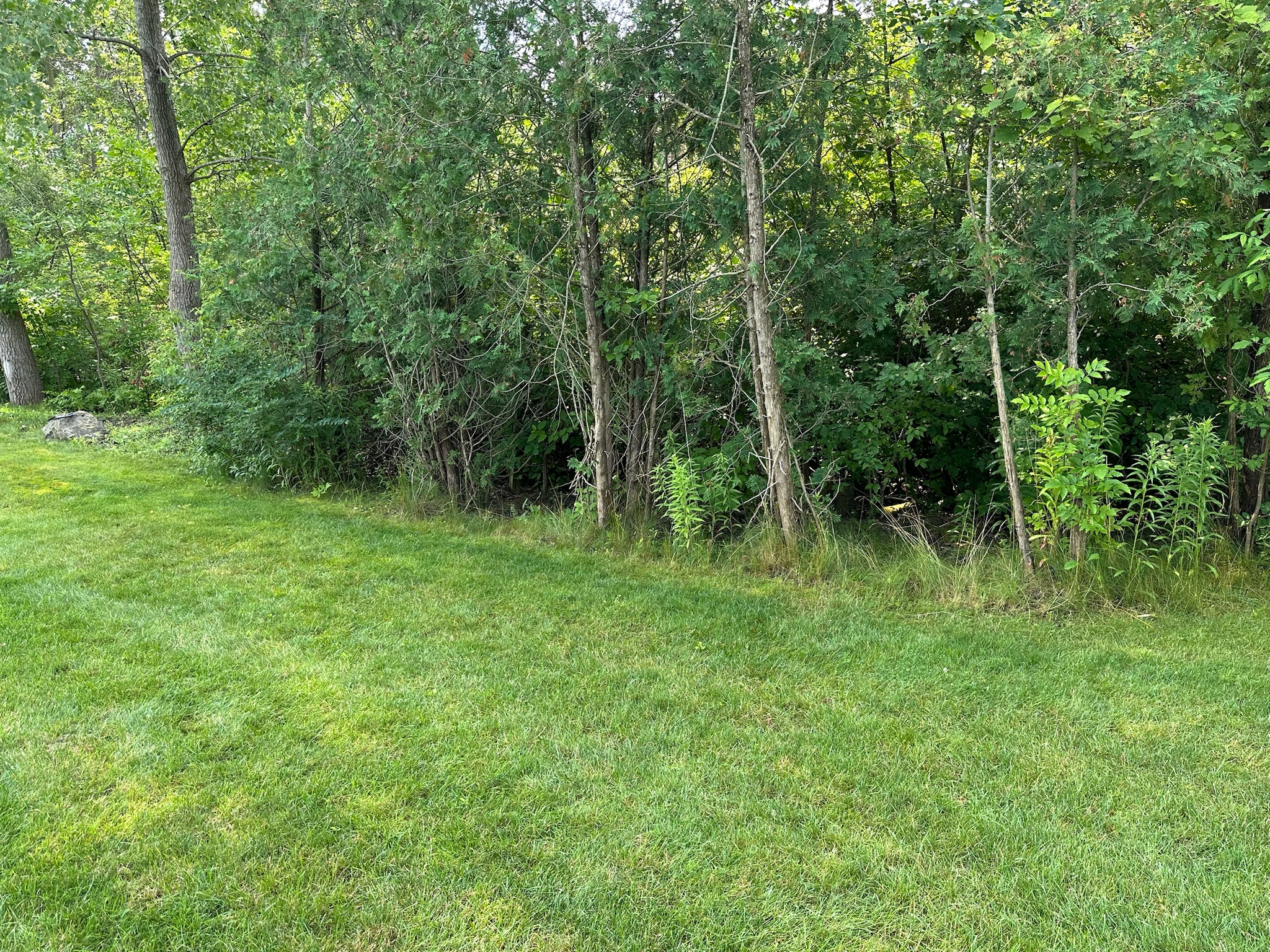 2024 garden and stone before photo 1